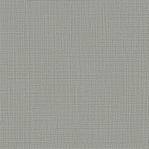 Fenstr Rolgordijn Screen Sam Taupe