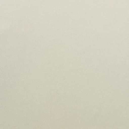 Gordijn Sil Beige