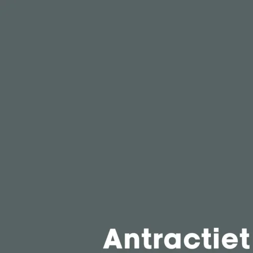 Muurverf Mat Antraciet 2.5 L