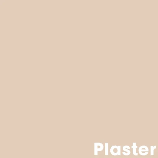 Muurverf Professional Plaster 1 L