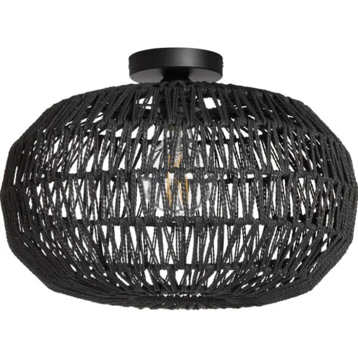 Plafondlamp Zelus