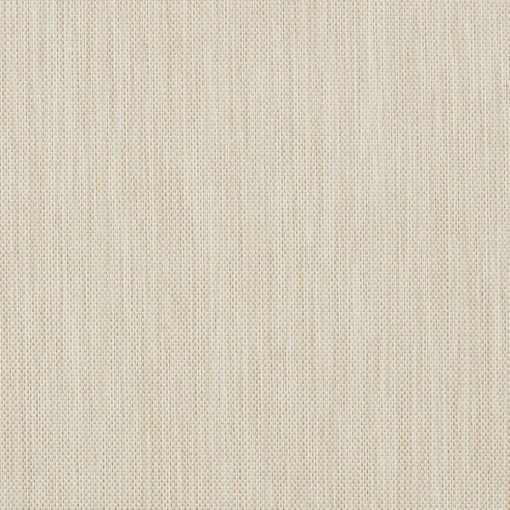 Rolgordijn Screen Sam Beige