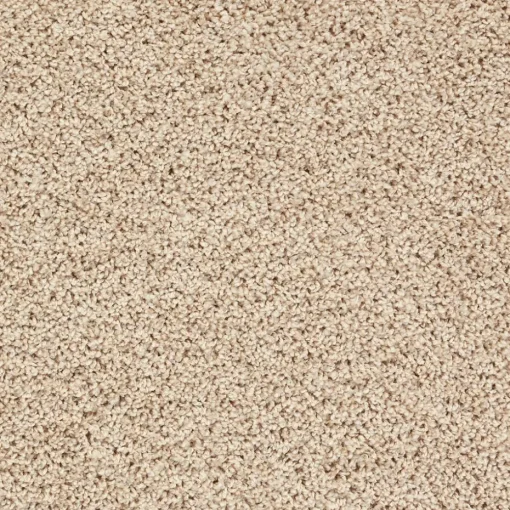 Tapijt Anamosa Beige