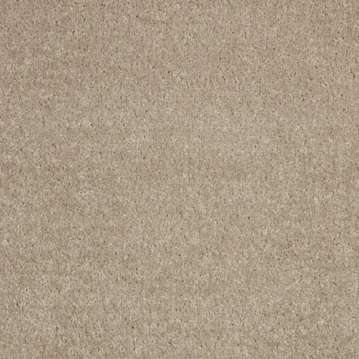 Tapijt Parker Beige